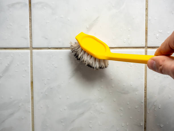 Best Basement Mold Remediation in Scissors, TX
